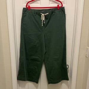 Torrid Dark Green Chinos with Drawstring
